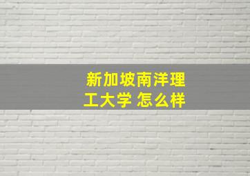 新加坡南洋理工大学 怎么样